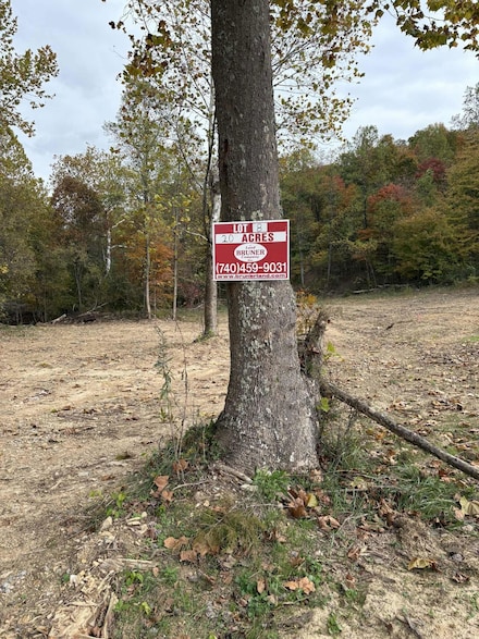 Pine Grove Ch Rd, Vanceburg, KY 41179