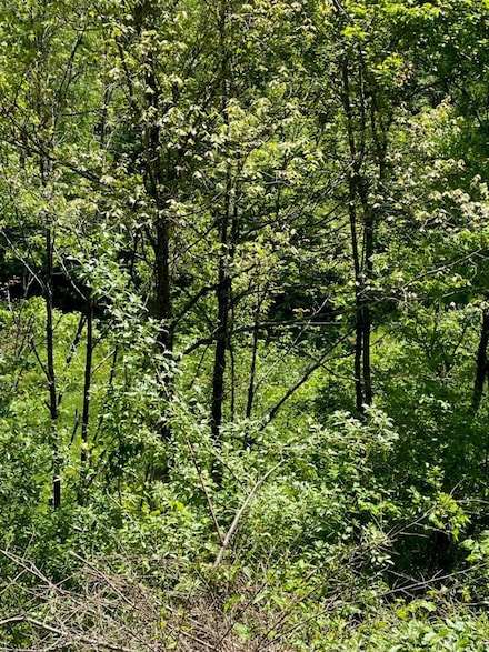 0 Buck Creek (Db 230 Dp 353) Unit 124671, Royalton, KY 41464