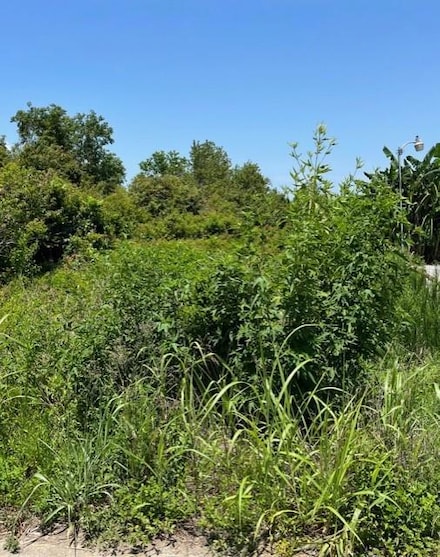 153 Buras River Rd, Buras-Triumph, LA 70041