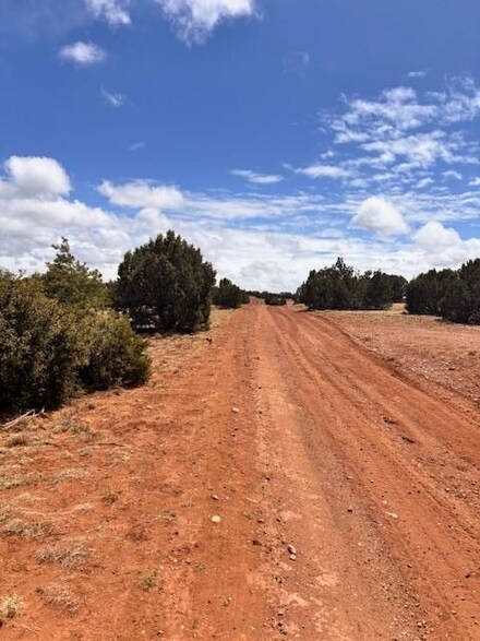 86 County Road 8227, Concho, AZ 85924