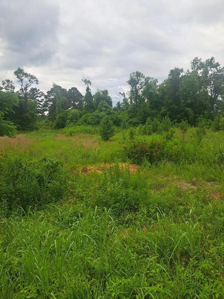 3941 Hillbilly Way (Tract 2), McBee, SC 29101