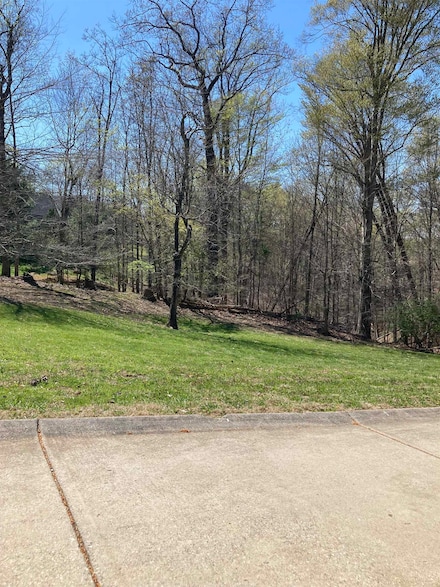 .524 Acre Wood Lomond Place Unit BVILLE DISTRICT MAP, Huntington, WV 25705