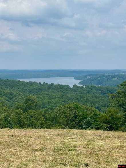 Tract C Swiss Mountain Dr, Briarcliff, AR 72653