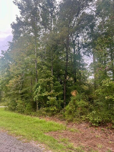 0 Douglas Dr, Abbeville, AL 36310