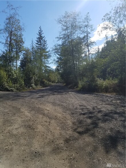 0 E Dawn Dr Unit 1198067, Grapeview, WA 98524