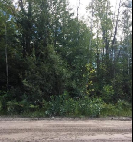 0 Geronimo Rd Unit 23754747, Alpena, MI 49707