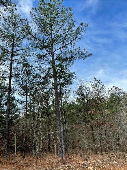 721 Timber Creek Trails South Xl, Broken Bow, OK 74728