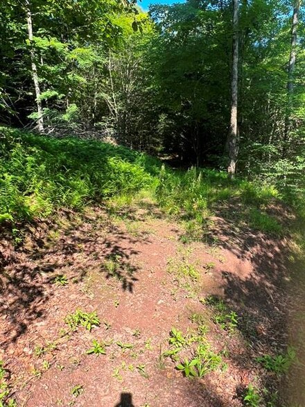 00 Porky Pine Trail, Austin, PA 16720
