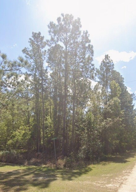 00 Magnolia St, Georgetown Cove, FL 32139