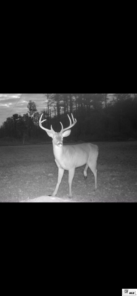 00 Bedenbender Rd, Oak Grove, LA 71263