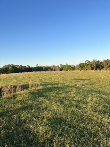 0 Welding Rd, Esto, FL 32425