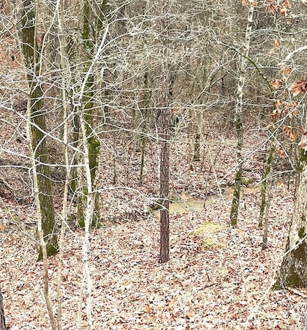 708 Timber Creek Trails South Xl, Broken Bow, OK 74728