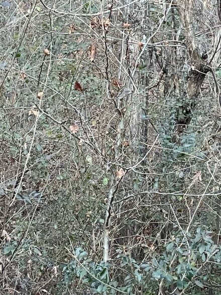 28 Hidden Ridge Loop, Dunlap, TN 37327