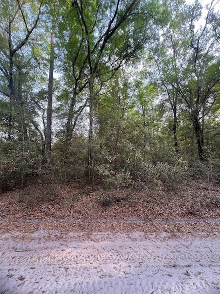 TBD SW 150th St, Dunnellon, FL 34432