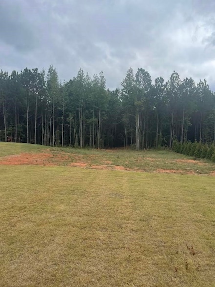 Lot 2A-1 Lee Road 155, Salem, AL 36804