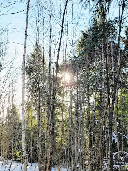 B-2BackLot Pioneer Path, Aurora, ME 04605