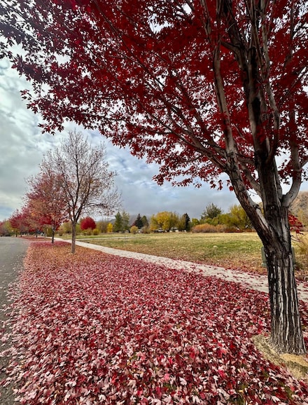 731 Cd Olena Dr, Hailey, ID 83333