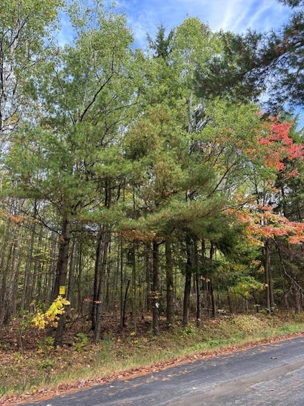 0 Burlingame Rd Unit 276604, Cayuta, NY 14824