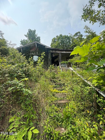 1232 Shelby St, Bristol, TN 37620