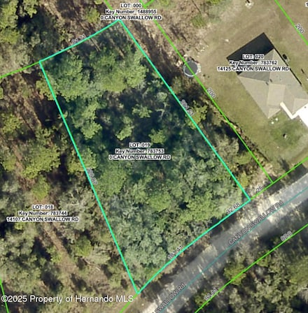 Lot 19 Canyon Swallow Rd, Weeki Wachee, FL 34614