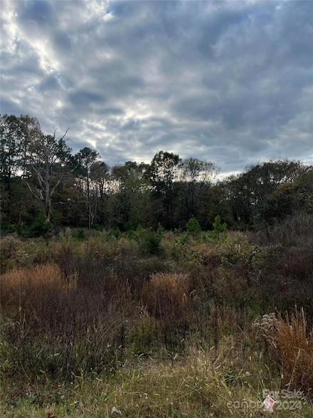 0 Leonard Ave, Albemarle, NC 28001