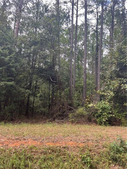 06 Fire Tower Rd, Colfax, LA 71417