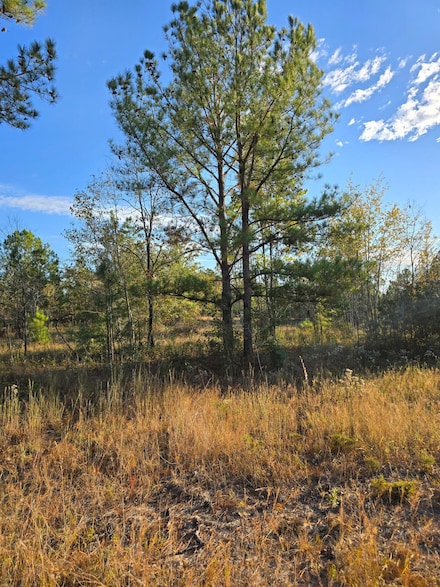 Tbd Hamilton Branch Way, Aiken, SC 29803