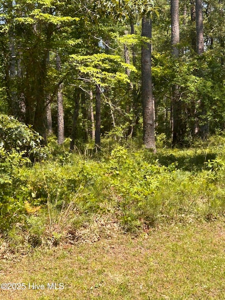 135 Martin Creek Dr, Beaufort, NC 28516