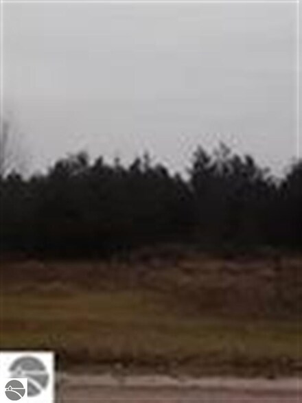 9925 Creighton Rd SW, Fife Lake, MI 49633
