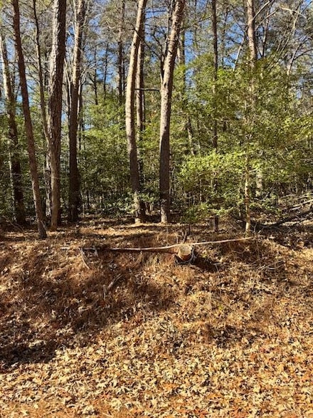 #62 Knights Landing Dr, Heathsville, VA 22473