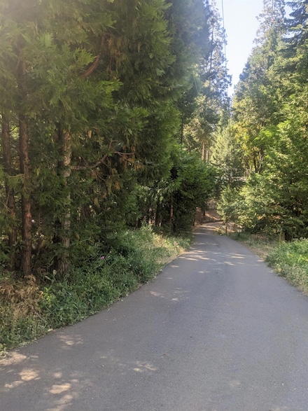 25952 Sylvan Rd, Pioneer, CA 95666