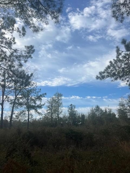 000 Rich Rd, Bainbridge, GA 39819