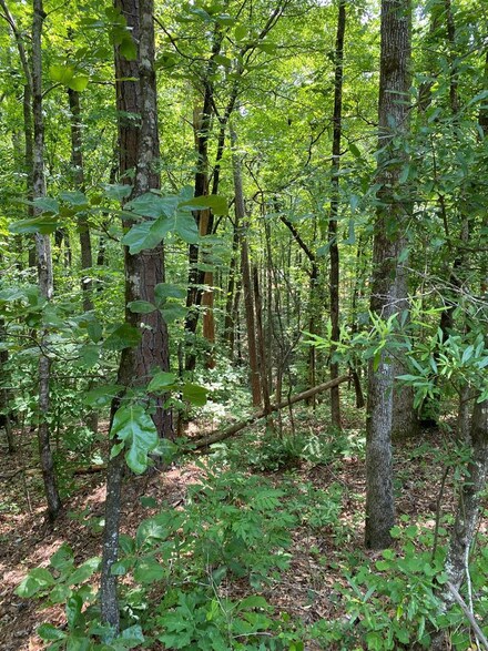 0 Pine Dr Unit 200325, Pine Mountain, GA 31822