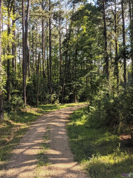 12150 Par Road 8-110, Clinton, LA 70722