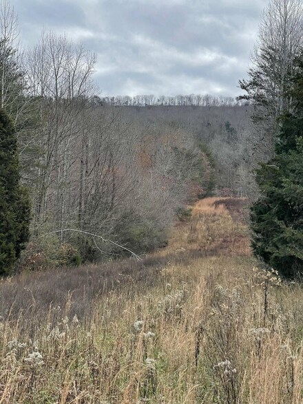 0 Bailey Ln, Whitwell, TN 37397