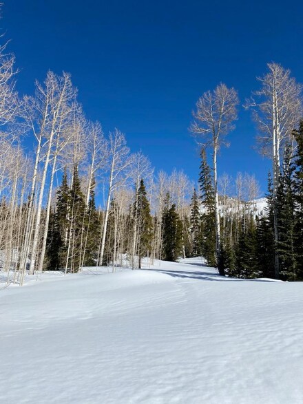 332 E Toboggan Ln Unit B, Brian Head, UT 84719