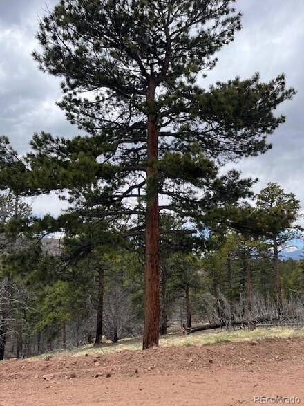 Lot 513 Leslie Loop, Fort Garland, CO 81133