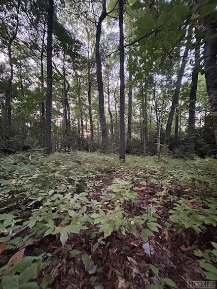 Lot 30 Lupton Rd, Sapphire, NC 27741