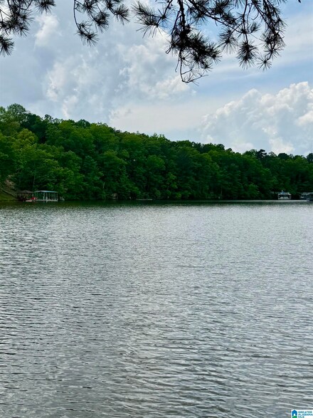 Lot 5 Old Highway 431 Unit 1, Wedowee, AL 36278