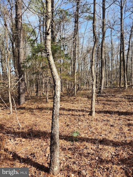 Lot 69 Plantation Dr, Montross, VA 22520