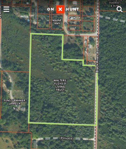 9442 Marsh St Unit 231-010-100-026-00, Tower, MI 49792