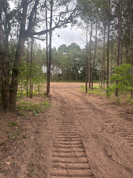 TBD County Road 3015, Dayton, TX 77535