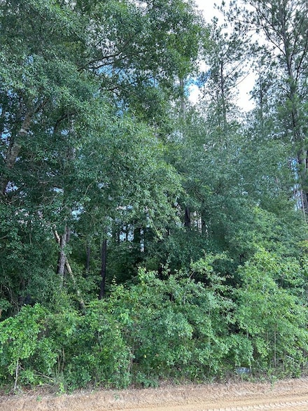 Lot 38 Crestview Rd, Abbeville, GA 31001