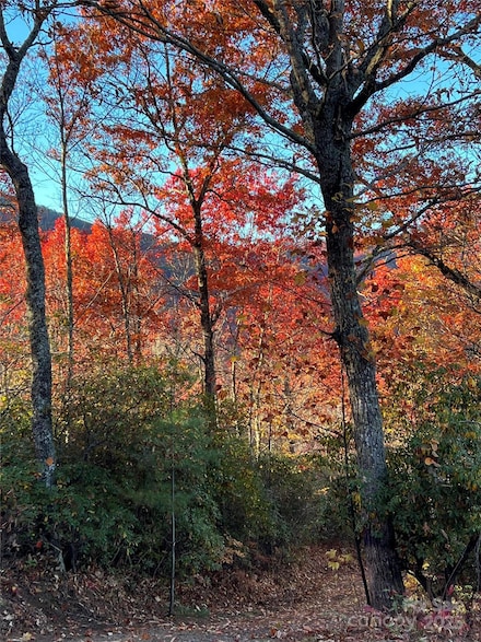 69 & 81 Winter Moon Ridge, Sylva, NC 28779