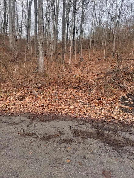TBD Glendale Ave, Bluefield, WV 24701