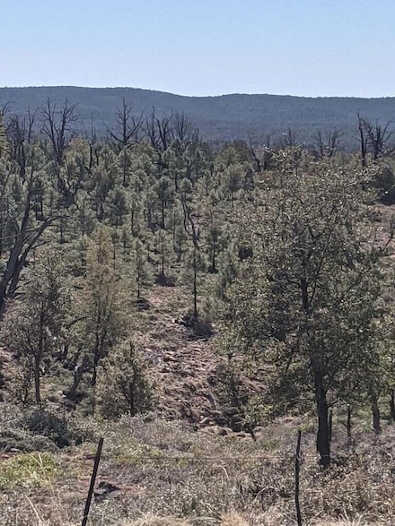 41&42 Antelope Trail Rd, Payson, AZ 85541