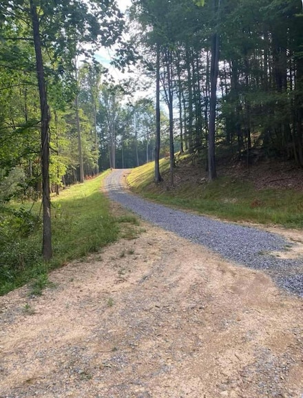 0 Bowers Ridge Rd Unit 90501, Saulsville, WV 25876