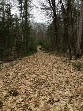 0 Bonneterre Rd Unit 1212669, Waldo, ME 04915
