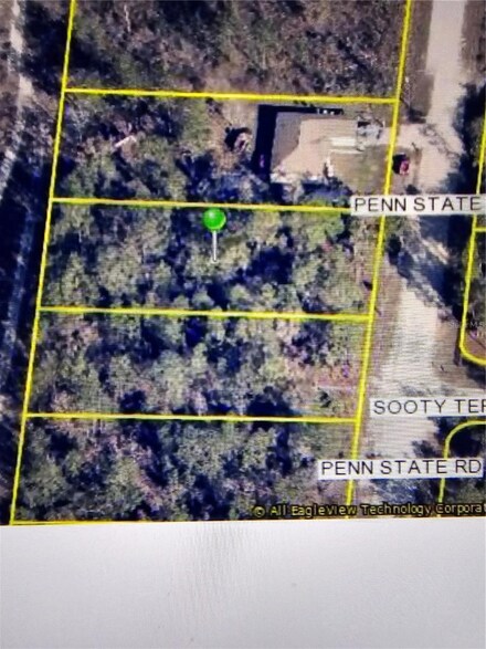 16153 Penn State Rd, Weeki Wachee, FL 34614