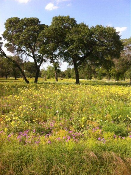 116 County Road 6717 Unit County Rd. 787, Natalia, TX 78059